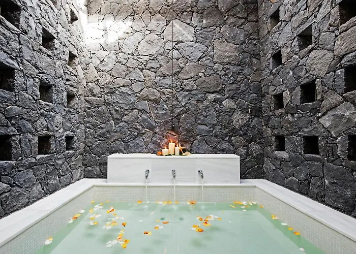 酒店 The At Bahia Del Duque 阿德耶